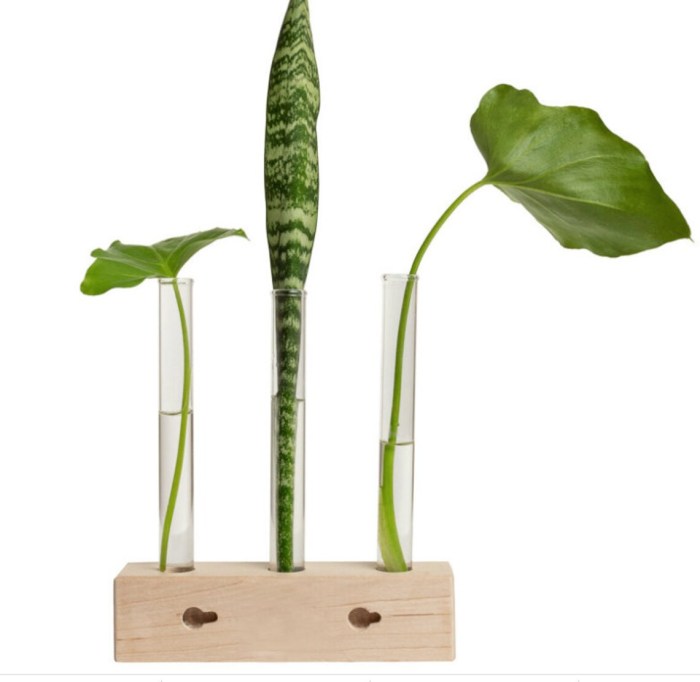 Wall Mounting Propagation Station Trio | Etsy Wall Mounting Propagation Station Trio | Etsy