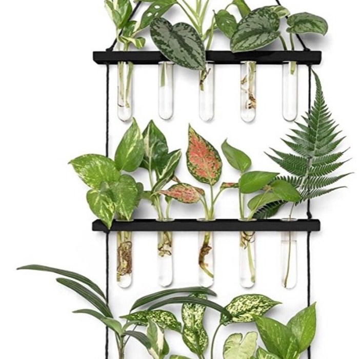 11 plant propagation stations for all budgets – Artofit 11 plant propagation stations for all budgets – Artofit